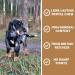 Pets Purest 100% Natural Red Deer Antlers for Dogs - 2 Small Stag Horn Bones - Premium Treat & Plaque Removal Chews - Buy Online on SooperMarket.com