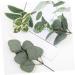 LIFKICH 24pcs Floral Arrangement Decor Artificial Eucalyptus Picks Artificial Eucalyptus Branch Faux Spray Eucalyptus Leaves Stems Greenery Stems Plant Decor Pu Christmas Leaf Branch As Shown 28.00X12.00X8.00CM - Buy Online on SooperMarket.com