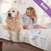 Paku Paku Pet Hair Roller - Best Lint Roller for Cats & Dogs | Effective Pet Hair Remover International Shipping - Buy Online on SooperMarket.com