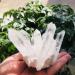 350g-900g Natural Clear Quartz Stone White Crystal Cluster 1pc HOMEZHOU (Color : 1pc 510g-560g) - Buy Online on SooperMarket.com