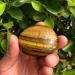Natural Tiger Eye Crystal Gemstone Polishing Stones Raw Stone Mineral Specimen