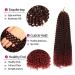 Passion Twist Hair - 6 Packs 18 Inch Faux Locs Crochet Extensions | Yddm Synthetic Hair - T1B-Bug Economy Pack - Buy Online on SooperMarket.com