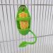 2 Pcs Bird Food Container Plastic Cuddle Bone Feeding Racks Vegetable Fruit Holder Hanging Feeder Parrot Cage Stands Accessories for Bird Parrot - Buy Online on SooperMarket.com