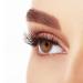 Ardell Naked Lashes 422 - Human Hair Eyelashes for an Unmistakable Look (4 Pack) | International Shipping Available - Buy Online on SooperMarket.com