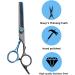 Fcysy Professional Hair Thinning Scissors Set - Blue Hairdressing Shears Kit with Comb for Barber and Hairdresser - Buy Online on SooperMarket.com
