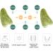 WEISIPU 5-Piece Jade Gua Sha Facial Massage Set | Natural Scraping Tool for Skin Care & Relaxation - Ideal for All Skin Types - Buy Online on SooperMarket.com