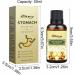 Fivetoo Abdominal Massage Oil - Appetite Booster & Laxative Blend with Grape Seed Almond & Olive Oil - 50ml for Women & Teen Girls - Buy Online on SooperMarket.com