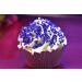 Mystic Sprinkles Perfectly Purple Jimmies 3oz - Vibrant Solid Color Sprinkles - Buy Online on SooperMarket.com