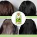 Buy Bubble Plant Hair Dye - Natural Botanical Hair Coloring Cream for Men & Women | Pure Plant Extracts for Black Hair Color - Buy Online on SooperMarket.com
