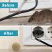 SUAVEC Rodent Repellent 8 Pack - Peppermint Oil Mouse and Rat Deterrent for House, RV, and Outdoor Use - Buy Online on SooperMarket.com