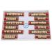 Buy Complete Resin Dentures | High-Quality Artificial Teeth & Dental Supplies for International Shipping - Buy Online on SooperMarket.com
