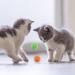 Cobee Large Cat Sparkle Ball Toys 12 Pieces 2 Inch Cat Pom poms Ball Furry Cat Toy Balls Kitten Pompom Ball Interactive Play Toy for Indoor Cat Kitten - Buy Online on SooperMarket.com