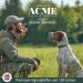 Acme Dog Whistle No. 210.5 - Loud & Effective Recall Training | Free Pipe Band - Perfect for All Dogs (Beige) - Buy Online on SooperMarket.com