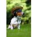 Lionet Paws Dog Collar Fly - Comfortable Silk XS Collar for Puppies & Cats (20-30cm) | 1 Pack - Stylish & Functional - Buy Online on SooperMarket.com