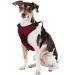 Littlearth NCAA Mississippi State Bulldogs Front Clip Pet Harness - Team Color (Small) - Buy Online on SooperMarket.com