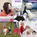 3-Way Pack Functions for Dogs - Washable & Durable Dog Accessories | Shop Now! - Buy Online on SooperMarket.com