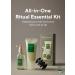 Buy AROMATICA Rosemary Scalp Care Gift Set Hydrating Treatment Scrub & Brush Sulfate Silicone & Paraben-Free International Shipping Available - Buy Online on SooperMarket.com