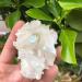 1pcs White Flame Aura Quartz Crystal Cluster Specimen Natural Stones and Minerals - Buy Online on SooperMarket.com