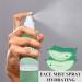 Aloe Vera Hydrating Face Mist Facial Spray with Aloe & Green Tea Makeup Setting Spray for Face Aloe Vera Face Toner for Dry Skin Soothing Face Spray Nourishing Dry Skin & Relieve Acne 100ml - Buy Online on SooperMarket.com