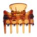 Fityle 12-Piece Resin Mini Hair Clip Set - Trendy Hair Grippers & Claws | Stylish Hair Accessories in Coffee Color for All Hair Types - Buy Online on SooperMarket.com