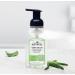 J.R. Watkins Foaming Hand Soap Pump 6 Pack - All Natural, Moisturizing Aloe & Green Tea Hand Soap Foam - Alcohol-Free, Cruelty-Free, USA Made - Ideal for Kitchen or Bathroom - 9 fl oz - Buy Online on SooperMarket.com