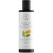 Clarifying Toner for Face - Salicylic Acid Toner - Spot and Oil Control Cruelty-Free Skincare by The Natural and Organic Family - 7.04 oz Apple - Buy Online on SooperMarket.com