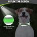 Joytale Softly Padded Neoprene Dog Collar for Small Dogs - Reflective Nylon Wide Collar in Green - 1 Pack - Buy Online on SooperMarket.com