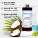 Rosen Apothecary Firming Collagen Body Lotion with Coconut Oil - 32 fl oz - Hydrating and Tightening Formula for Firmer, Hydrated Skin - Buy Online on SooperMarket.com