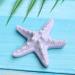12pcs Sea Creatures Sea Shells Star Conch Cake Topper for Birthday Party, Baby Shower, Wedding Decor - Buy Online on SooperMarket.com