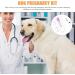 GANAZONO Pet Dog Pregnancy Pregnant Test Paper Strip Fast and Accurate Detection Pet Dog Pregnancy Test Card Dog Pregnant Test - Buy Online on SooperMarket.com