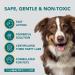 The Healthy Dog Co Spot On Flea and Tick Treatment for Dogs 100ml - Buy Online on SooperMarket.com