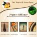 Hair Growth Serum Spray Hair Growth Accelerator Wild Growth Hair Ginger Oil for Hair Loss Treatments 20ML hair loss treatments - Buy Online on SooperMarket.com