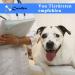 COODEO Dog Harness - Adjustable Lifting Belt for Support & Rehabilitation | Padded Breathable Straps for Old & Disabled Pets | Size M Blue - Buy Online on SooperMarket.com