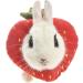 Buy Fladorepet Rabbit Protection Cone Elizabethan Neck Collars & Hasentoast Avocado Costume for Small Pets - Perfect for Recovery & Fun! - Buy Online on SooperMarket.com