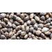 OPO Pure Castor Bean Oil - 100% Organic Cold Pressed Premium 4 OZ | Best for Hair Nails Eyelashes & Beard Care - Buy Online on SooperMarket.com