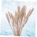 Cabilock Natural Dried Flowers 30 Pcs Natural Artificial Flower Decorative Artificial Flower As Shownx2pcs mediumx2pcs - Buy Online on SooperMarket.com