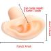 Soft Silicone Ear Template - Artificial Simulation Human Simulation Ear - Eare Acupuncture Acupuncture Point Template - for Acupuncture Soujons Loops - Buy Online on SooperMarket.com
