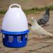 LOVIVER Portable Pigeon Waterer Drinker Cage Accessories Water Pot Container Water Bottle Automatic Bird Water Dispenser for Parrot Parakeet Dove 8L D 22cm H 38CM - Buy Online on SooperMarket.com