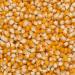 Wholefood Earth Organic Popping Corn 2kg - GMO Free, Vegan, High Fibre | Certified Organic Sweet-And-Salty Snack - Buy Online on SooperMarket.com
