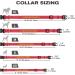 Tagme Personalized Reflective Dog Collar for Large Dogs - Embroidered Nylon with Pet Name & Phone Number - Red XL (1 Pack) - Buy Online on SooperMarket.com