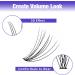 300PCS Cluster Lashes Extension DD Curl 10D 0.07mm 8-16mm | Wide Stem Individual Eyelashes Clusters | DIY Eyelashes Extensions Kit | RR-8-16mm Cluster Lashes-10D-0.07-DD - Buy Online on SooperMarket.com