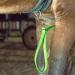 Kenyaw LED Horse Harness | Robust Chest Strap for Comfort & Safety | Best Visibility for Riding - Buy Online on SooperMarket.com