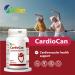 ALLBE CardioCan Softgels 1000mg Omega-3 Fish Oil & 30mg Alpha Lipoic Acid with Vitamin B6 B12 & Folate Supplement 2 Packs of 60 Heart Health Support & Antioxidant Servings(Per Serving:1 Capsule) 60 count (Pack of 2) - Buy Online on SooperMarket.com
