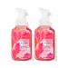 Bath & Body Works Strawberry Kiwi Gentle Foaming Hand Soap 8.75 Ounce 2-Pack (Strawberry Kiwi) Strawberry Kiwi 8.75 Ounce