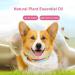 Cutially Waterproof Flea & Tick Protection Collar for Dogs & Cats | Adjustable Comb Included - Buy Online on SooperMarket.com
