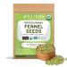 SPICE TRAIN, Fennel Seeds Organic (397g/14oz) 100% USDA Organic Raw Fennel Seed from Rajasthan, India | Anti-inflammatory | Fennel Seeds for Cooking, Smoothies & Lattes | Resealable Zip Lock Pouch