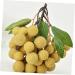 Ciieeo Doll House Diy Toy Fake Longyan Model Kitchen Fruit Longan Model Fruit Photography Props Fake Longan Decor Simulation Fruit Simulation Fake Fruit Faux Fruit Plastic Peach Miniature Khaki 18x18cm - Buy Online on SooperMarket.com