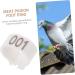 Yardwe 300 Pcs Pigeon Anklet Chicken Drumsticks Tag Plastic Foot Ring for Pigeon Poultry Pen Parrot Baby 1.3X1.3CMx3pcs Whitex3pcs - Buy Online on SooperMarket.com