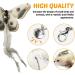 DONGKER 8pcs Cat Rod Replacement Feathers Interactive Cat Replacement Feathers With Bell for Cat Wand Toys Chasing Toys - Buy Online on SooperMarket.com