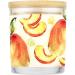 One World Pet House Candle - 12 Fragrances Natural Soy Wax 70-Hour Burn Non-Toxic Pet Odor Removal - Best Gift for Animal Lovers - Buy Online on SooperMarket.com